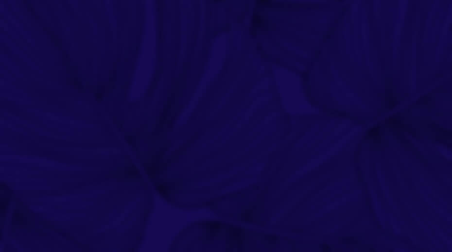 Ella - HTML Template